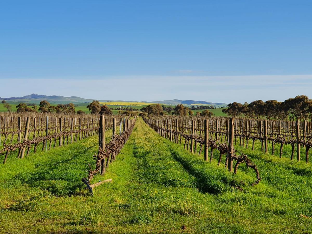 Belalie Wines Βίλα Jamestown Εξωτερικό φωτογραφία