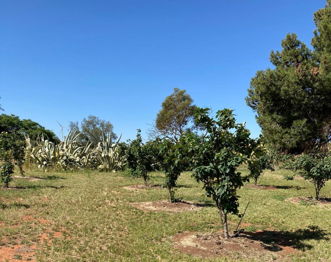 Belalie Wines Βίλα Jamestown Εξωτερικό φωτογραφία